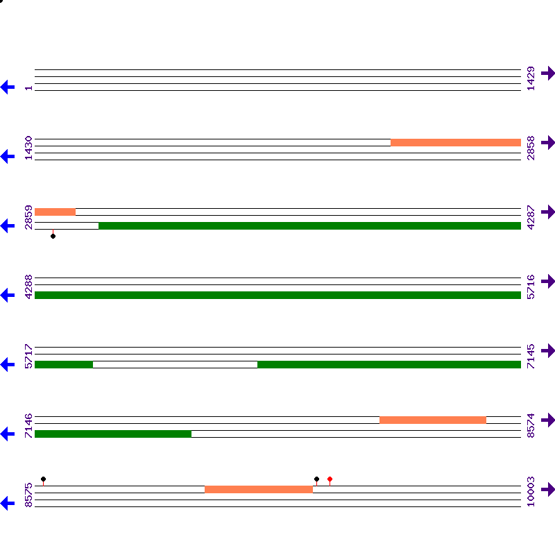 Genome View