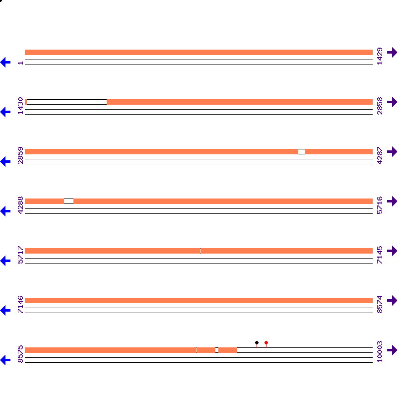 Genome View