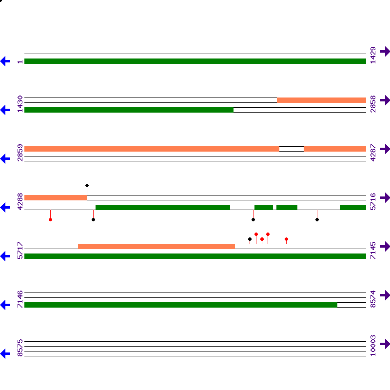 Genome View