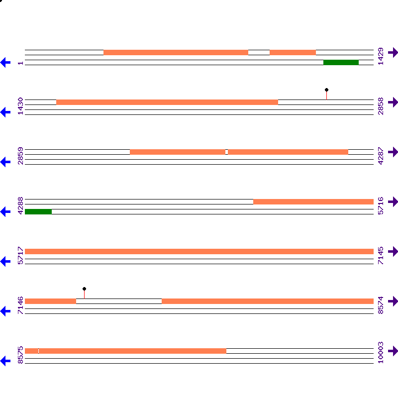 Genome View