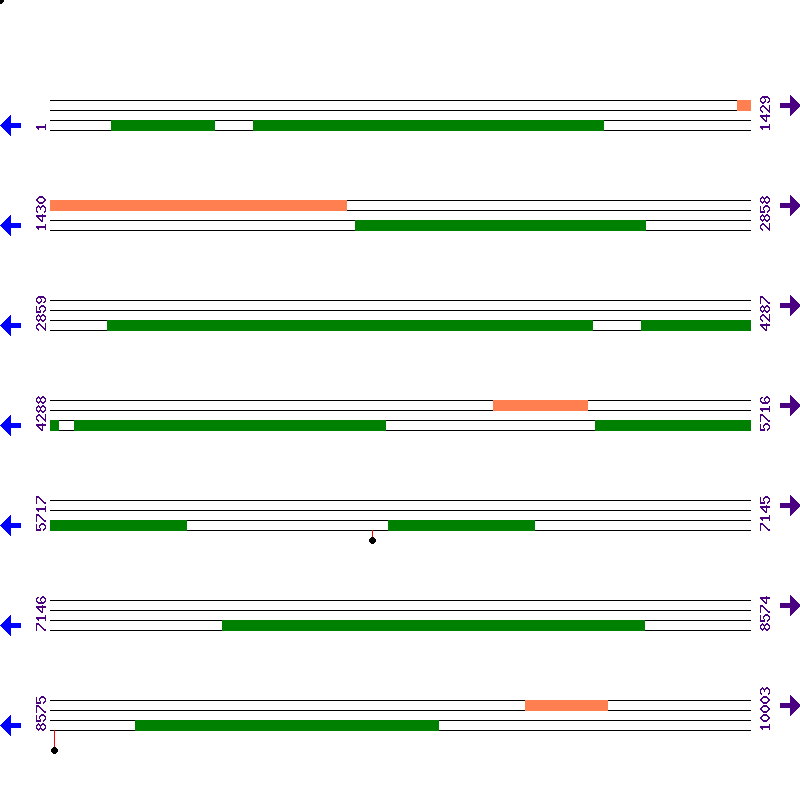 Genome View