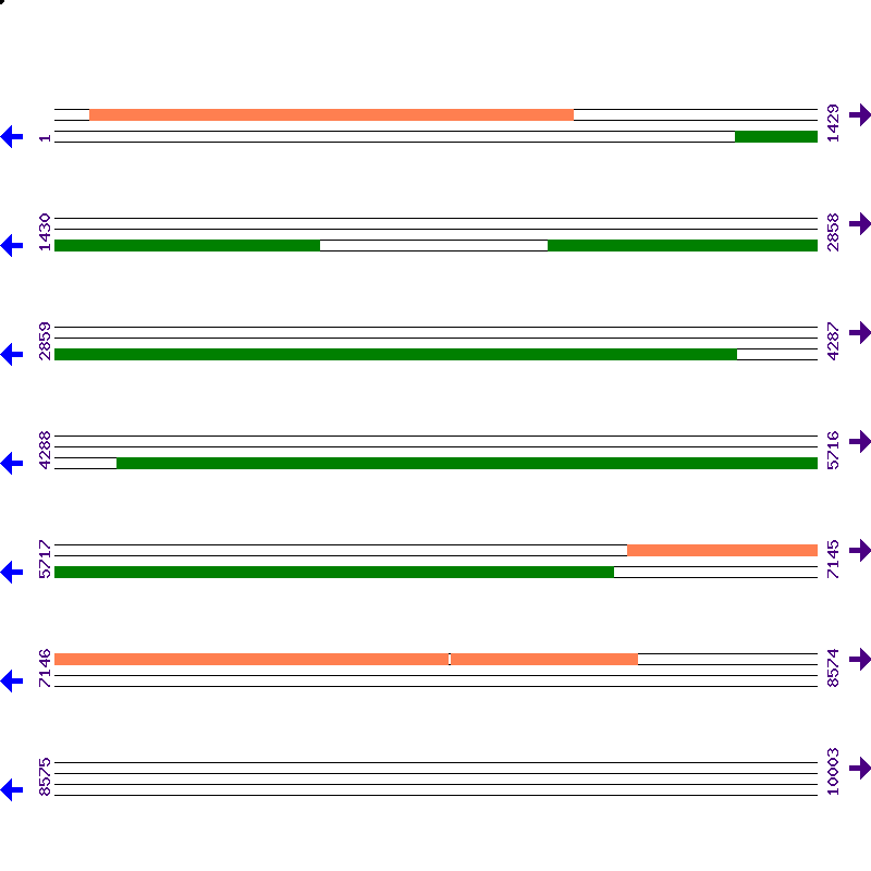 Genome View