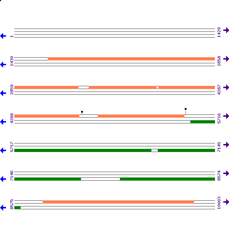 Genome View