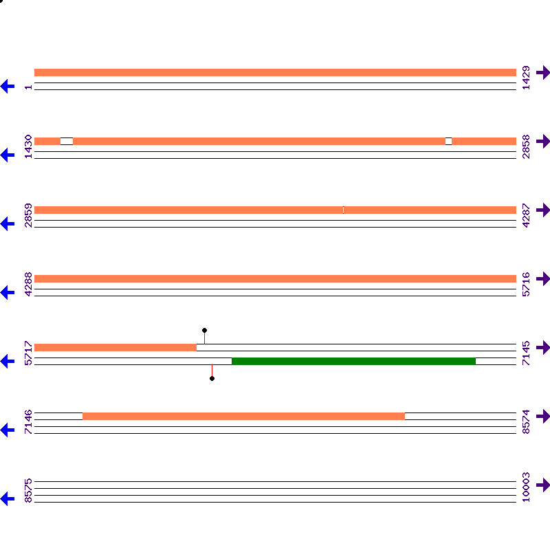 Genome View