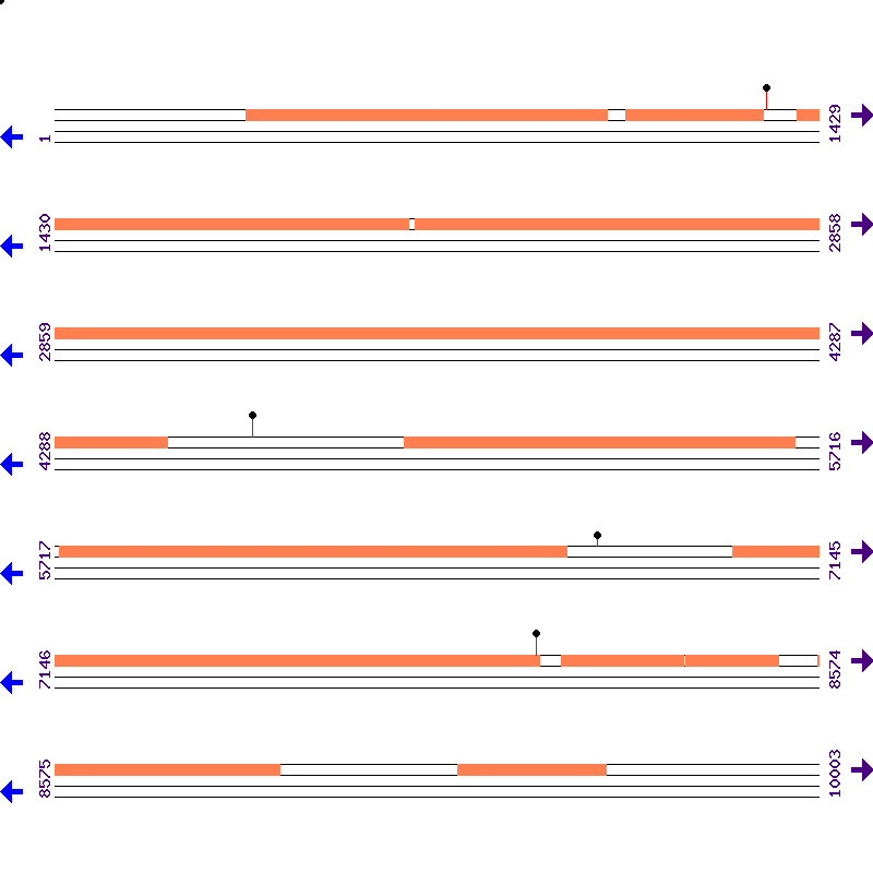 Genome View