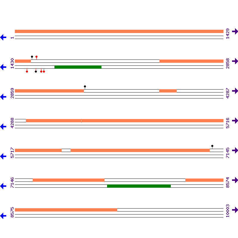 Genome View