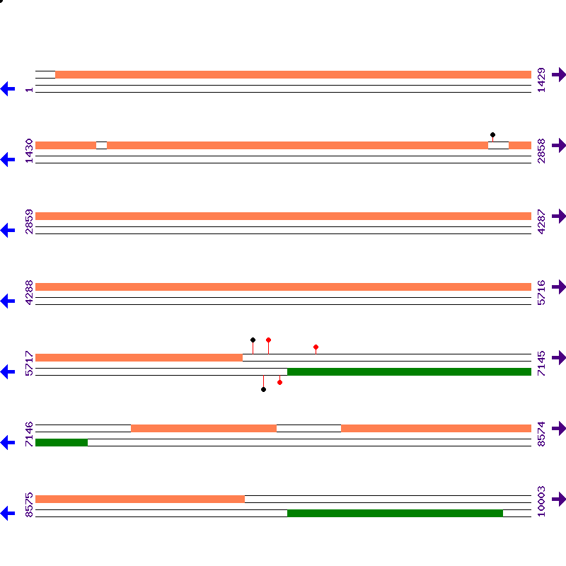 Genome View