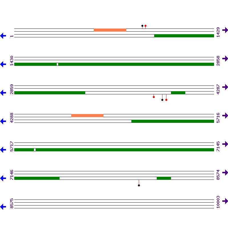 Genome View
