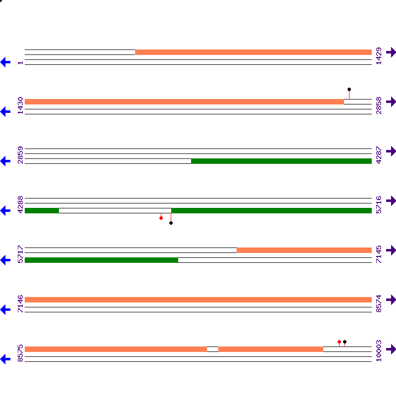 Genome View