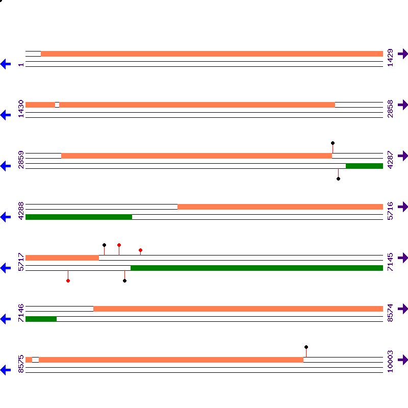 Genome View