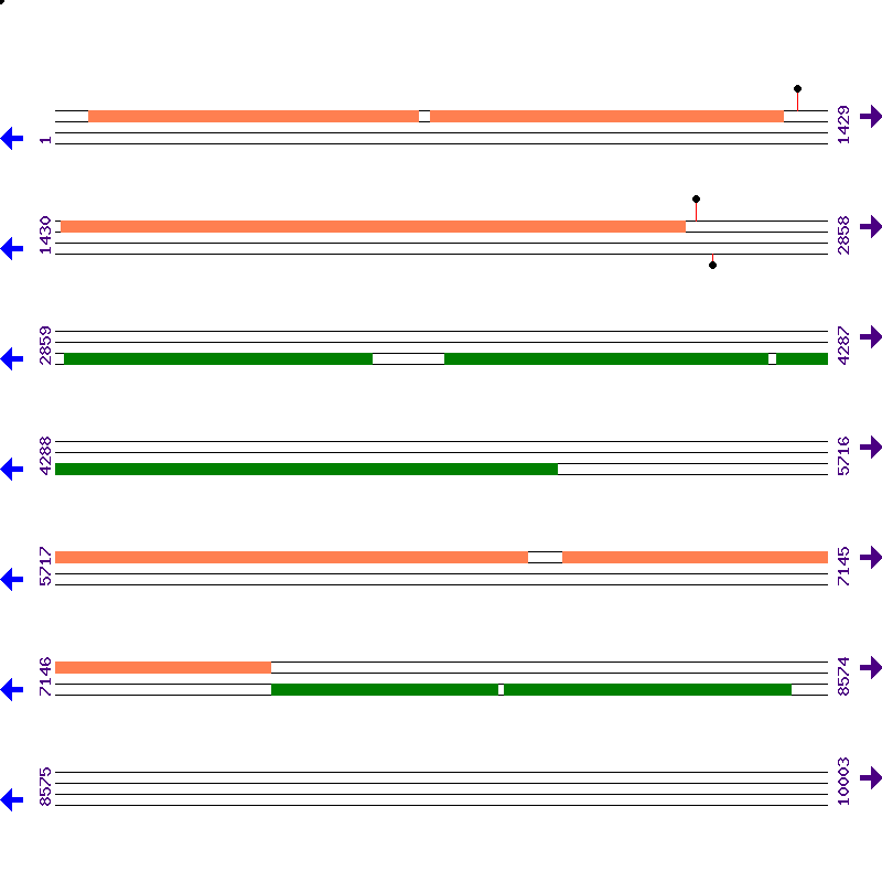 Genome View
