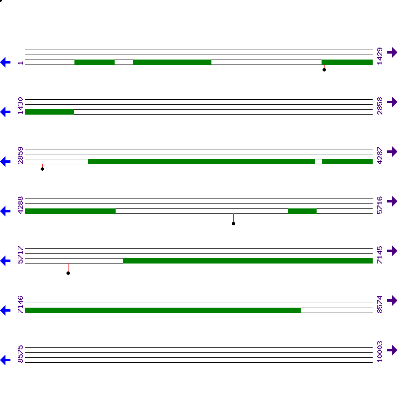 Genome View