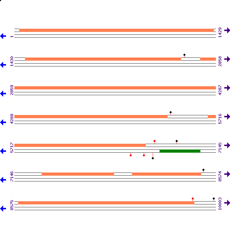 Genome View