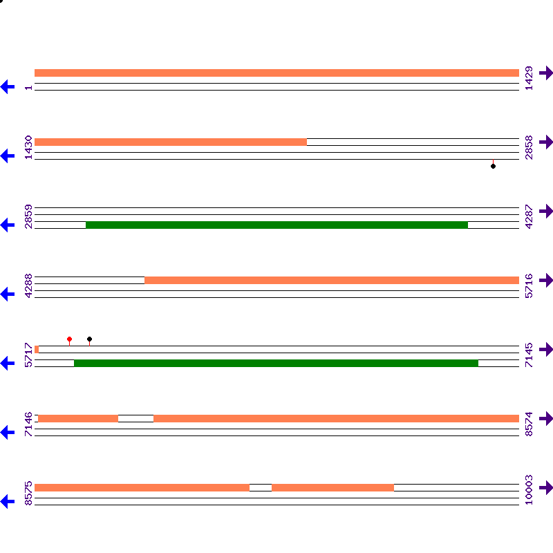 Genome View