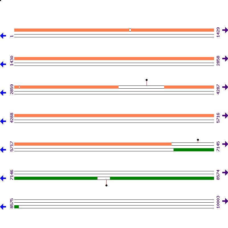Genome View