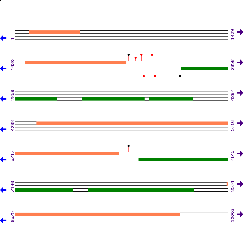 Genome View