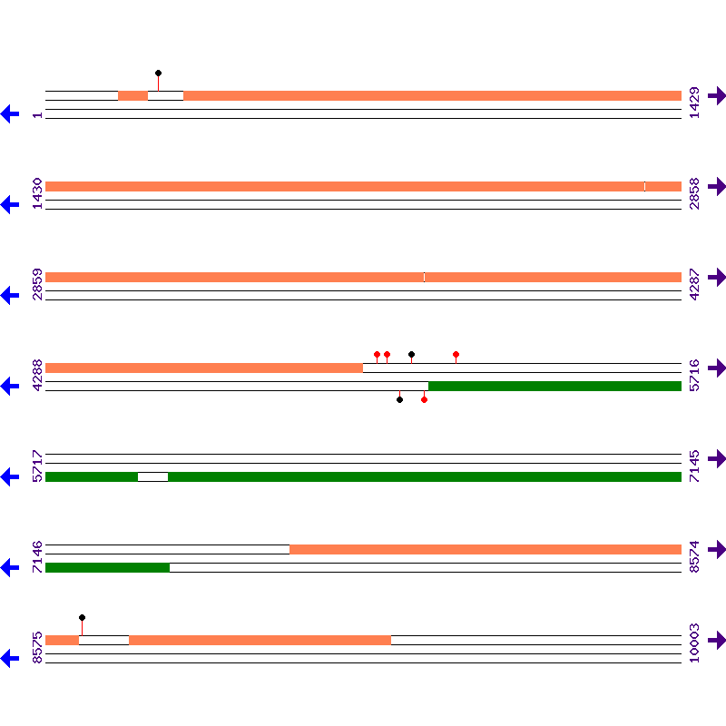 Genome View