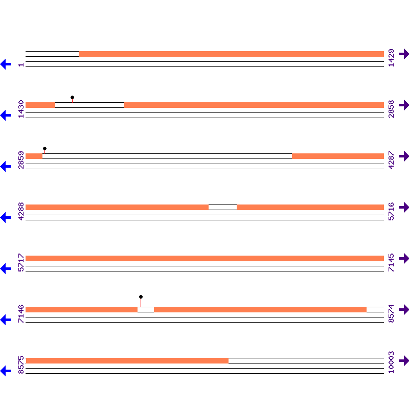 Genome View