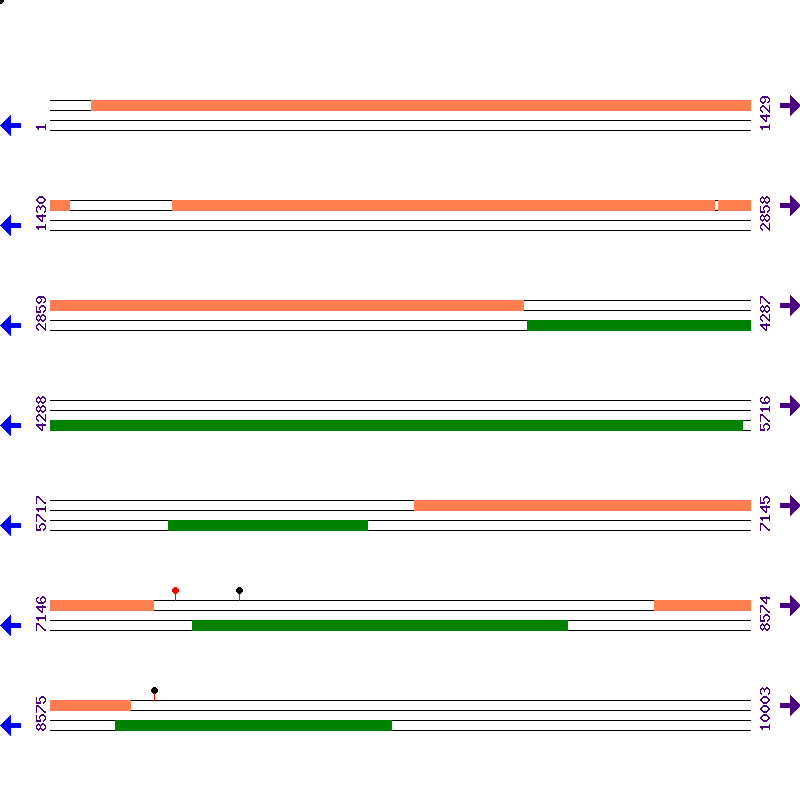 Genome View