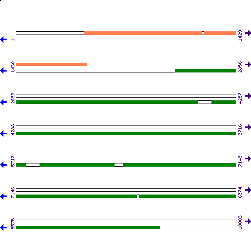 Genome View