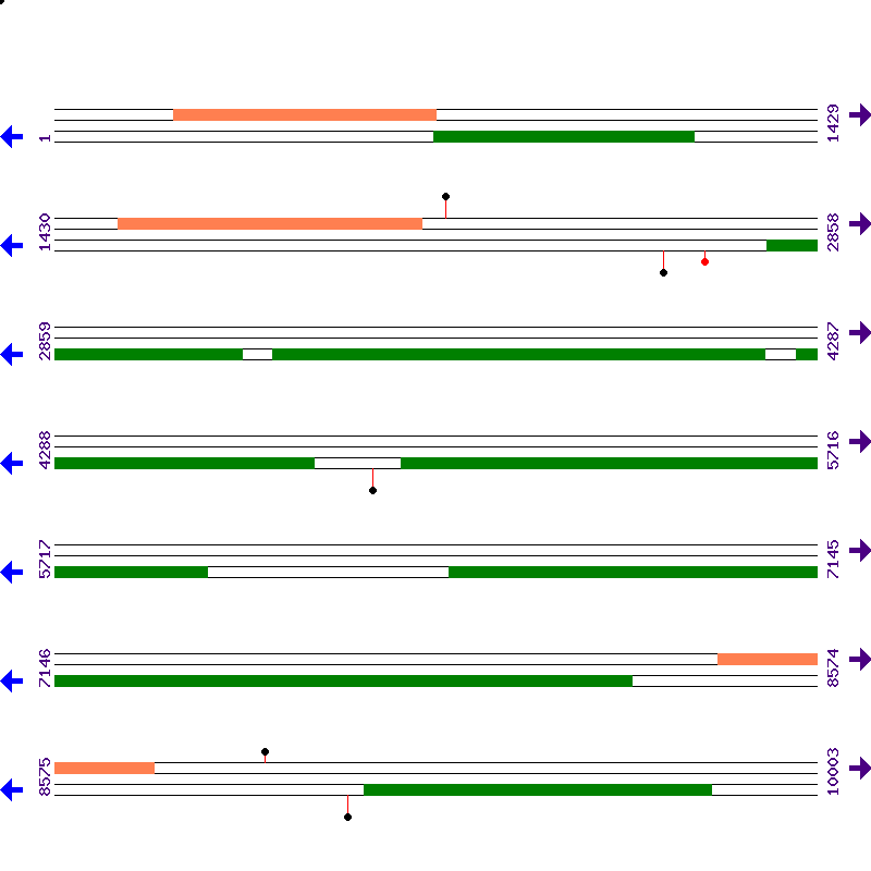 Genome View