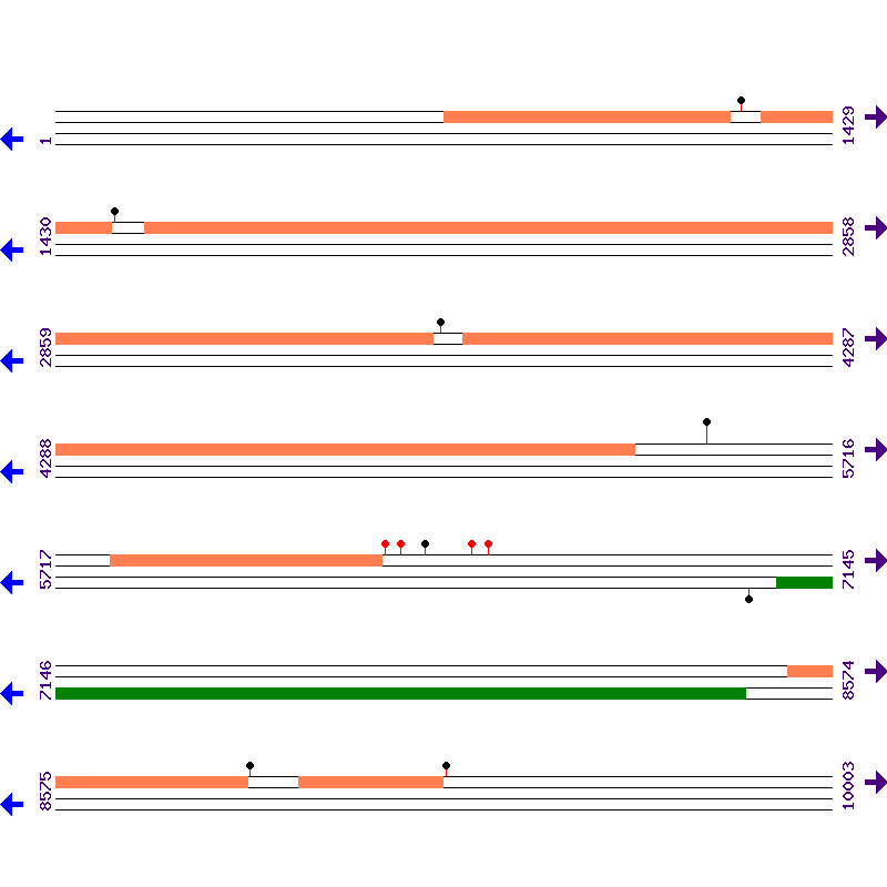 Genome View