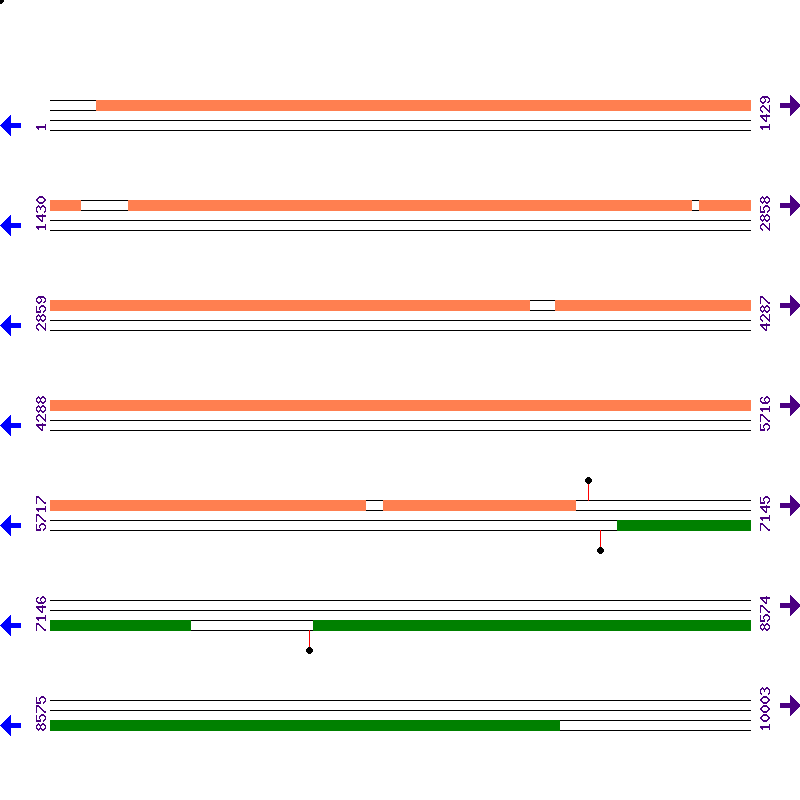 Genome View