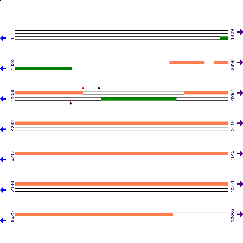 Genome View