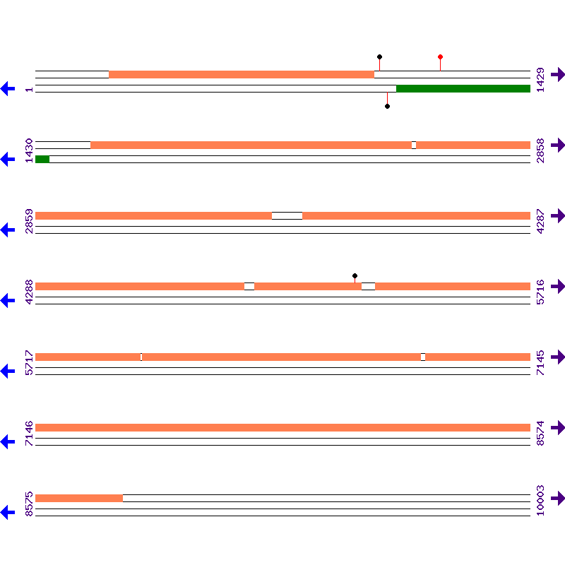 Genome View