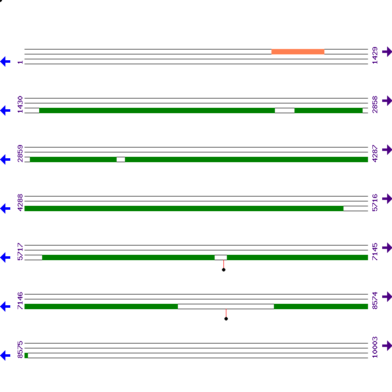 Genome View