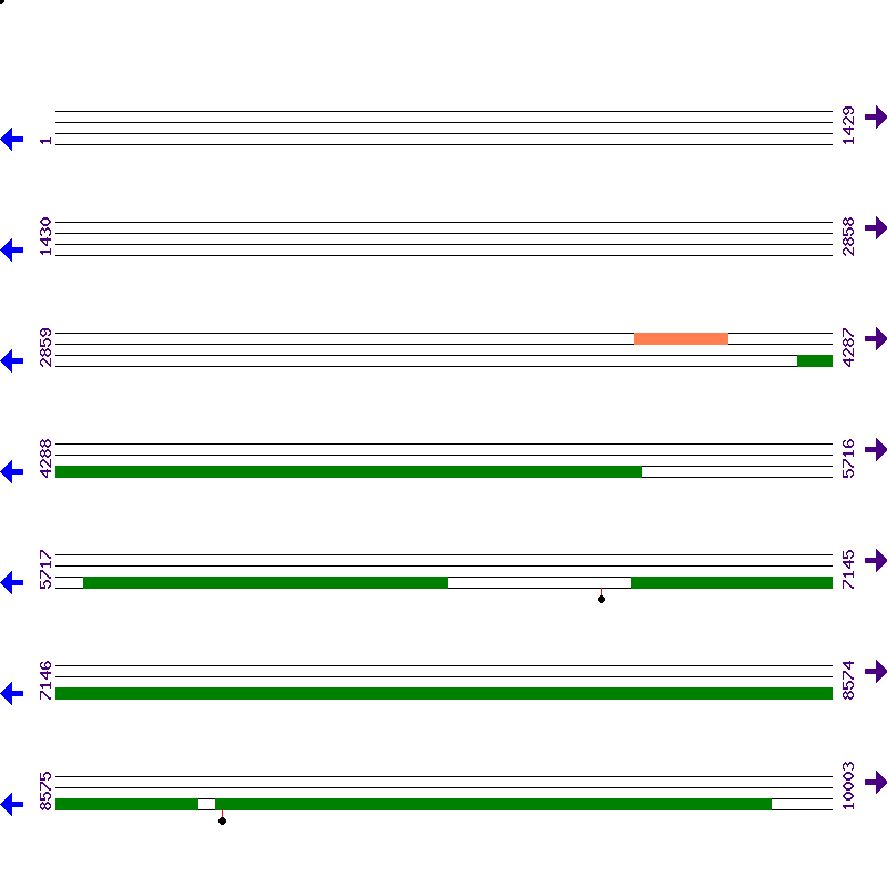 Genome View