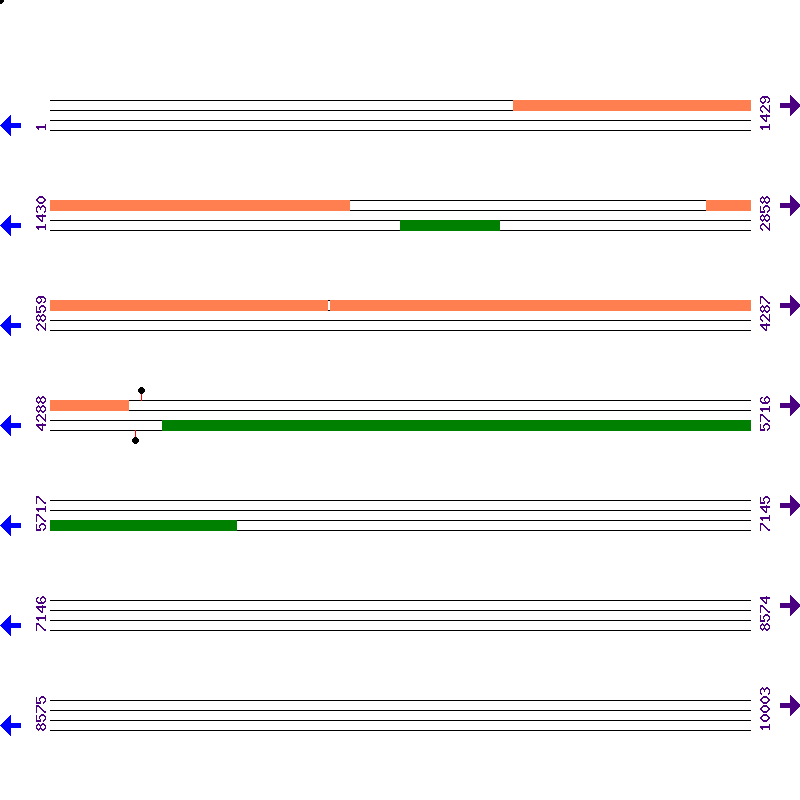 Genome View