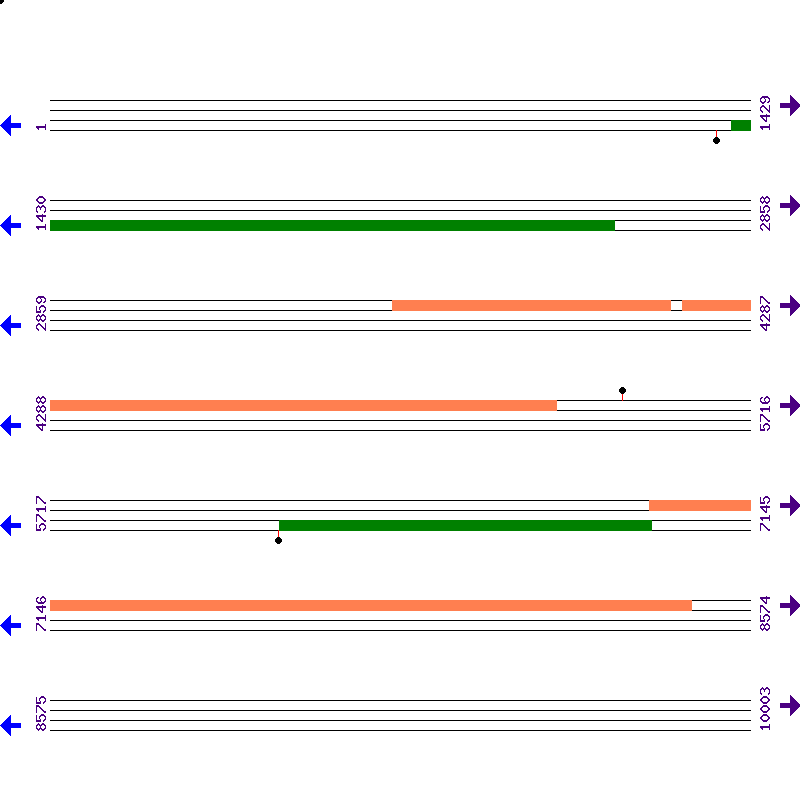 Genome View