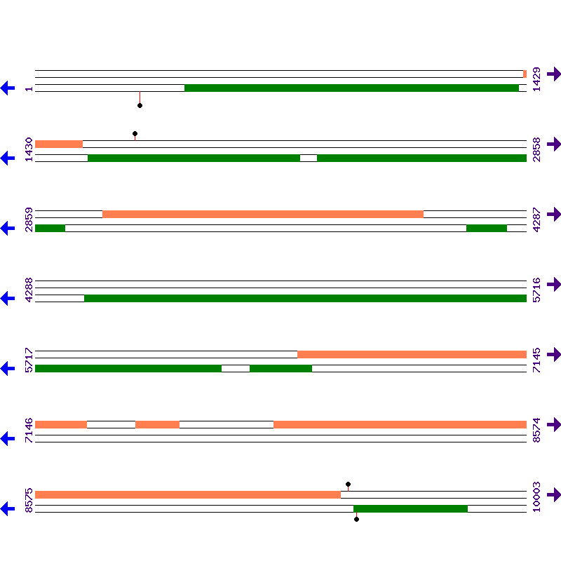Genome View