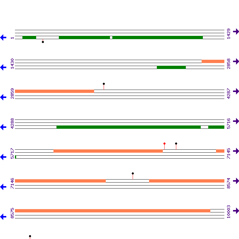 Genome View