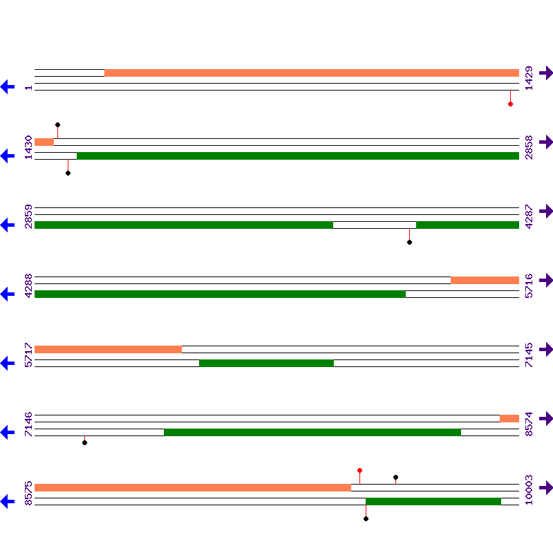 Genome View