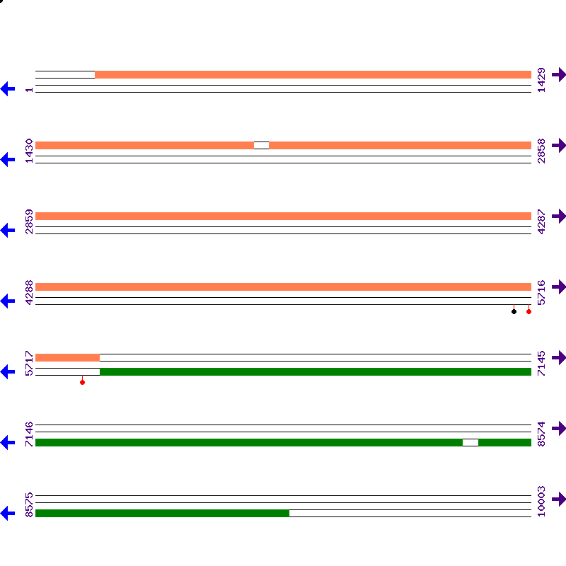 Genome View