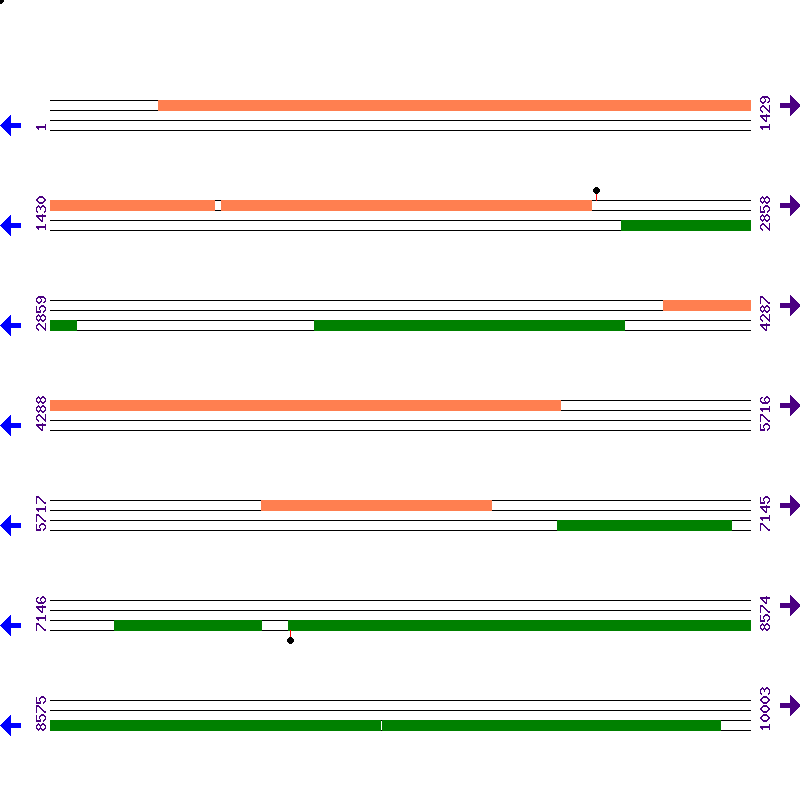 Genome View