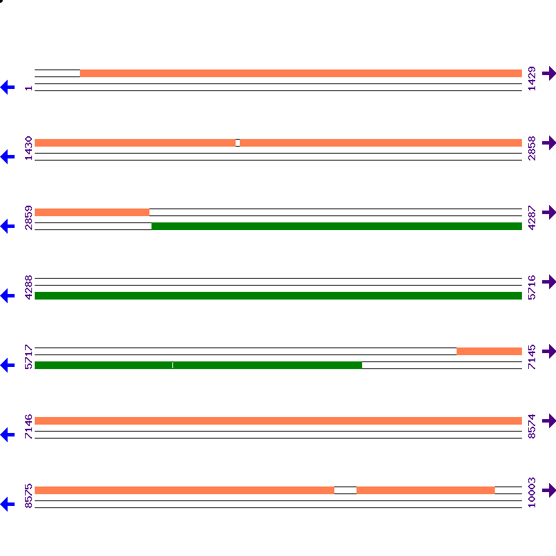 Genome View