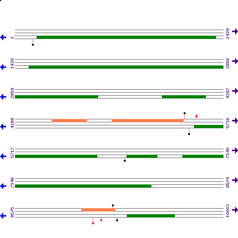 Genome View