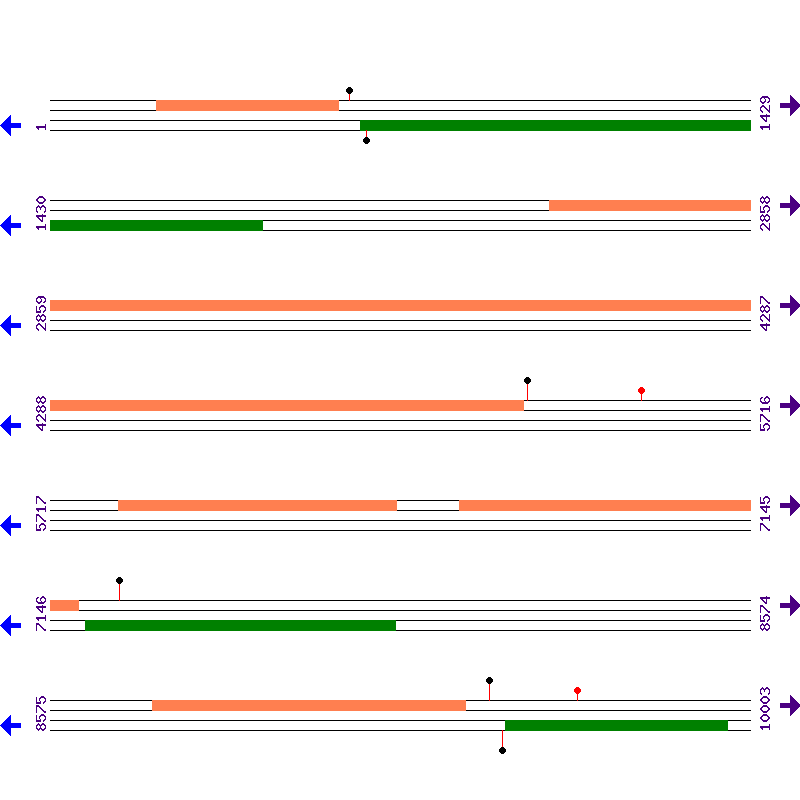 Genome View