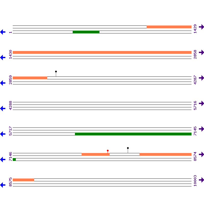 Genome View