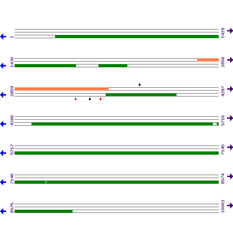 Genome View