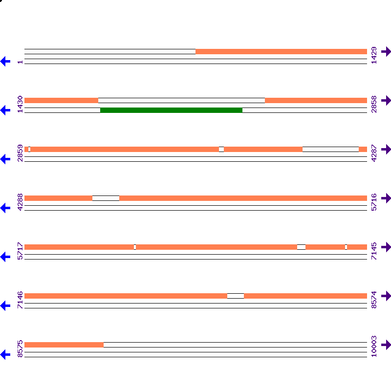 Genome View