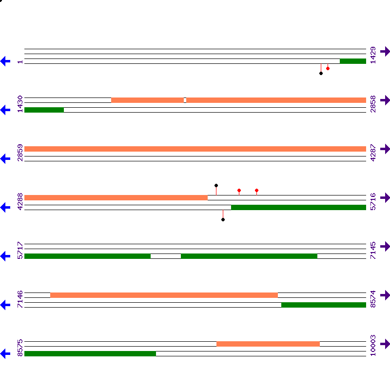 Genome View