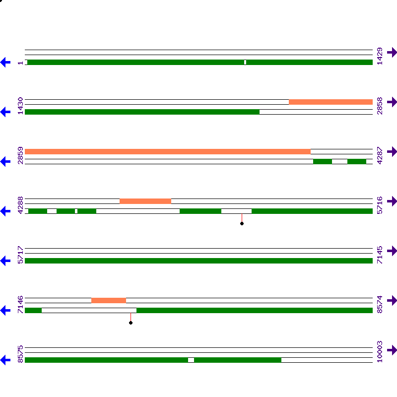 Genome View