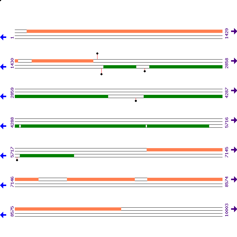 Genome View