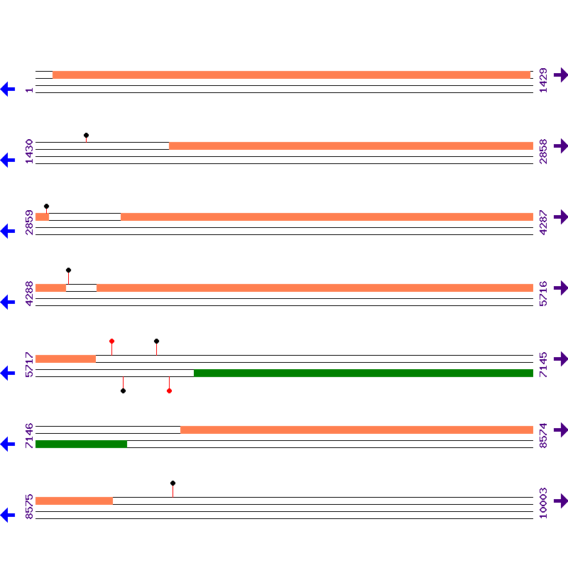 Genome View
