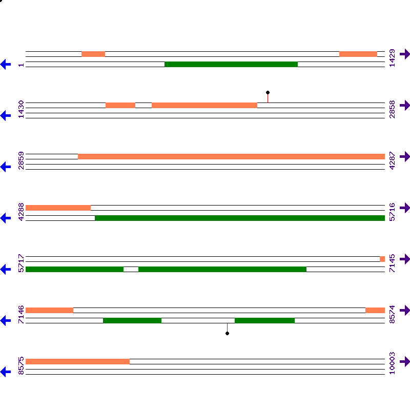 Genome View