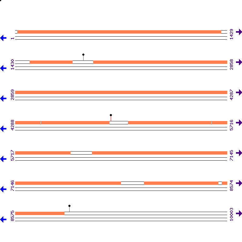 Genome View